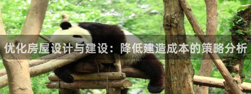意昂3神州：优化房屋设计与建设：降低建造成本的策略分析