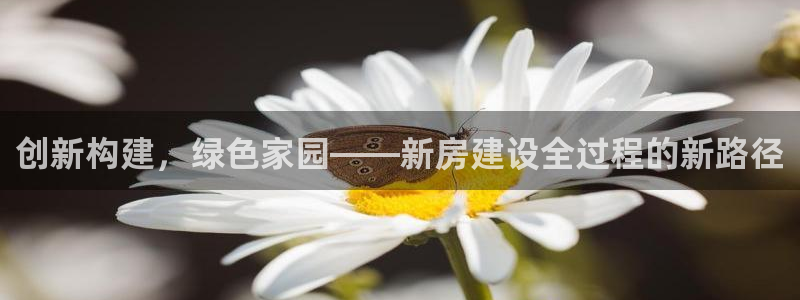 意昂3娱乐：创新构建，绿色家园——新房建设全过程的新路径
