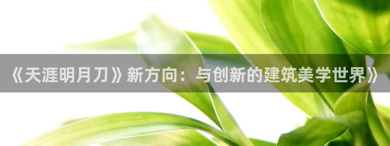 意昂体育3平台是正规平台吗知乎：《天涯明月刀》新方向：与创新的建筑美学世界》