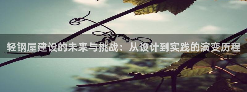 意昂体育3平台注册流程视频：轻钢屋建设的未来与挑战：从设计到实践的演变历程