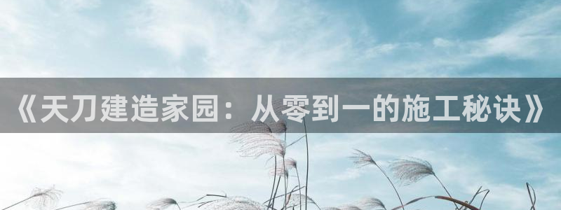 意昂体育3平台注册要钱吗：《天刀建造家园：从零到一的施工秘诀》