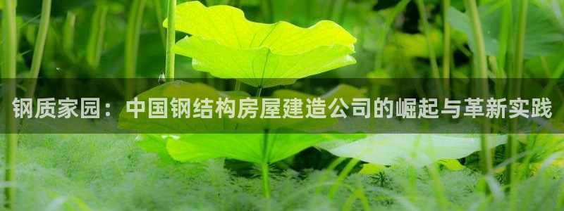 意昂体育3招商：钢质家园：中国钢结构房屋建造公司的崛起与革新实践