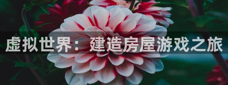 意昂体育3招商电话号码查询是多少：虚拟世界：建造房屋游戏之旅