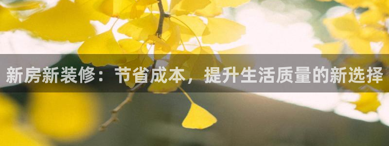 意昂3娱乐首页网站大全：新房新装修：节省成本，提升生活质量的新选择