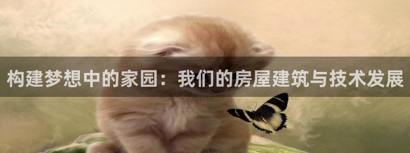 意昂体育3：构建梦想中的家园：我们的房屋建筑与技术发展