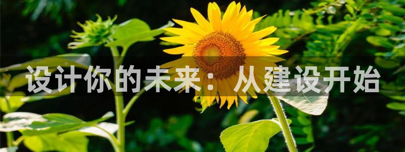 意昂体育3平台注册流程视频：设计你的未来：从建设开始