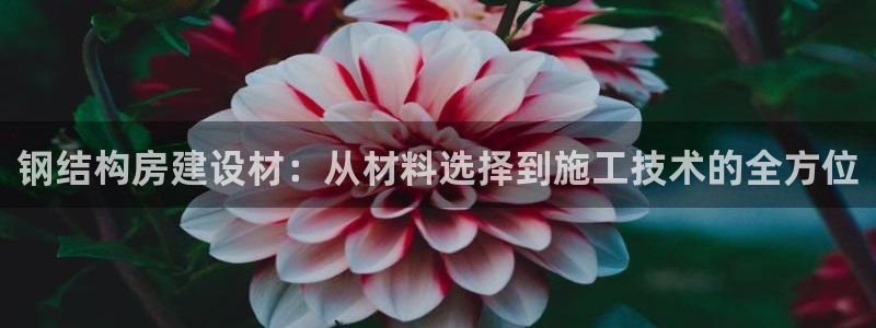 意昂体育3平台是正规平台吗：钢结构房建设材：从材料选择到施工技术的全方位