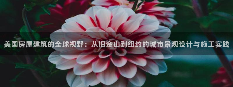 意昂3娱乐是那个系列的台子：美国房屋建筑的全球视野：从旧金山到纽约的城市景观设计与施工实践