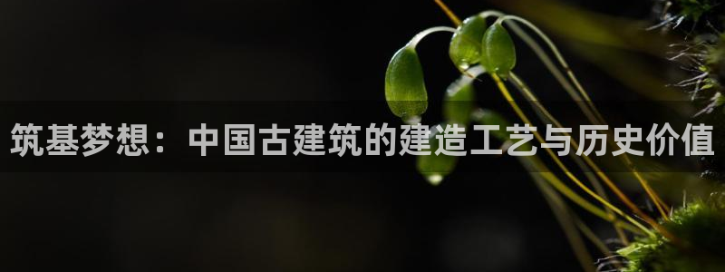 意昂3集团官网首页：筑基梦想：中国古建筑的建造工艺与历史价值