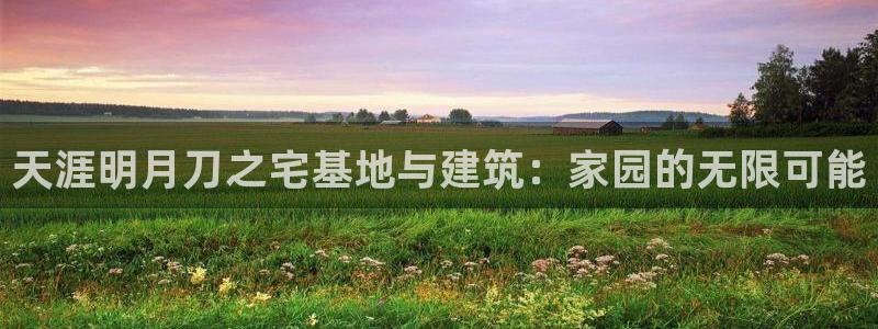 意昂体育3招商电话号码查询：天涯明月刀之宅基地与建筑：家园的无限可能