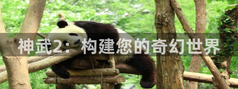 意昂3娱乐首页官网下载：神武2：构建您的奇幻世界