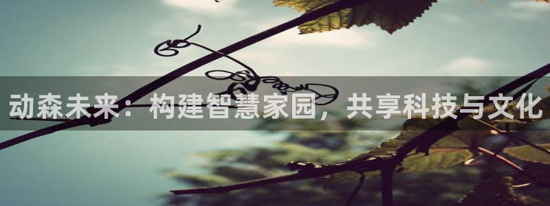 意昂3娱乐首页网站大全：动森未来：构建智慧家园，共享科技与文化