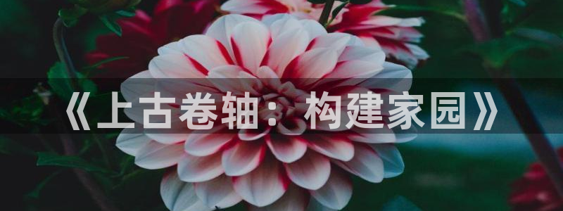 意昂体育3招商电话地址是多少：《上古卷轴：构建家园》