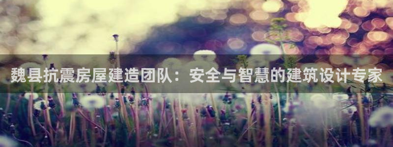 意昂3代理：魏县抗震房屋建造团队：安全与智慧的建筑设计专家