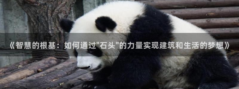 意昂3娱乐下载：《智慧的根基：如何通过\