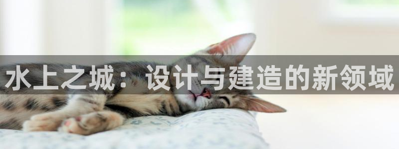意昂体育3招商：水上之城：设计与建造的新领域