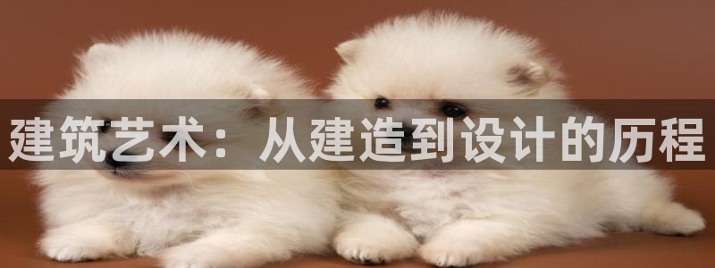 意昂体育3平台假的吗是真的吗吗：建筑艺术：从建造到设计的历程