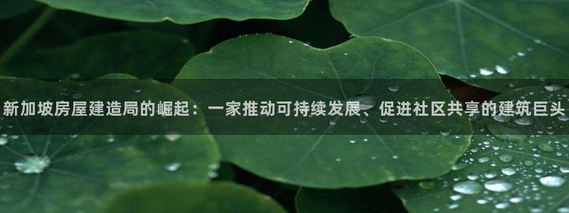 意昂集团官网：新加坡房屋建造局的崛起：一家推动可持续发展、促进社区共享的建筑巨头