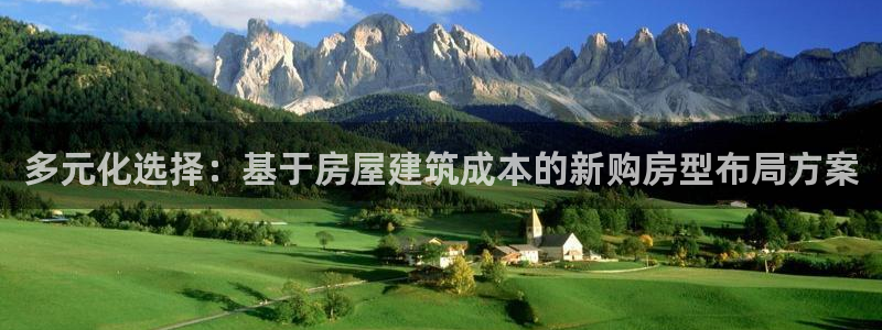 意昂体育3平台注册要钱吗安全吗：多元化选择：基于房屋建筑成本的新购房型布局方案