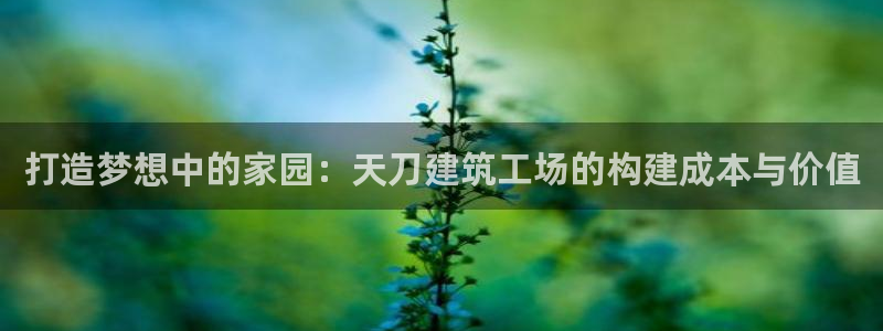 意昂3集团：打造梦想中的家园：天刀建筑工场的构建成本与价值
