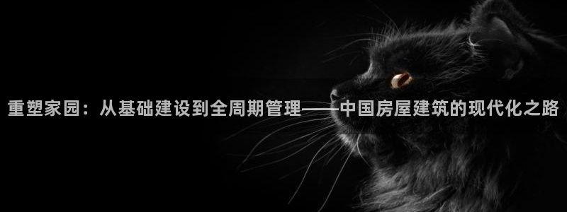 意昂体育3平台注册要钱吗是真的吗：重塑家园：从基础建设到全周期管理——中国房屋建筑的现代化之路