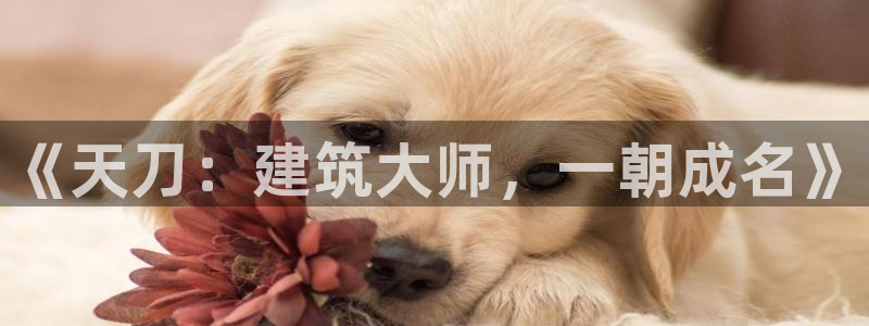 注册意昂3：《天刀：建筑大师，一朝成名》