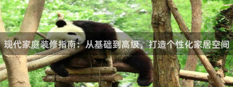 海南意昂体育3发展怎么样：现代家庭装修指南：从基础到高级，打造个性化家居空间