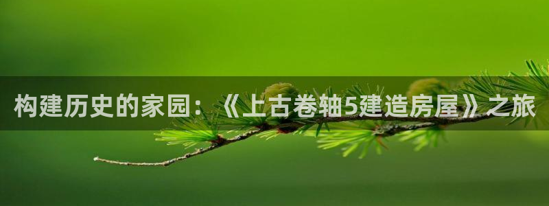 意昂3集团官网首页：构建历史的家园：《上古卷轴5建造房屋》之旅