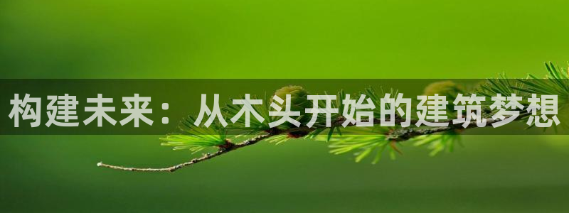 意昂3集团官网网址：构建未来：从木头开始的建筑梦想