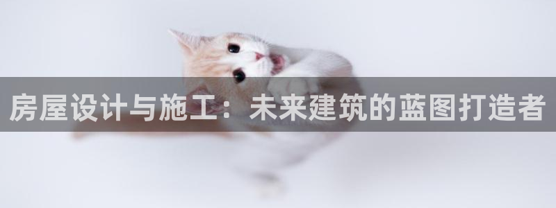 意昂3集团E.ON：房屋设计与施工：未来建筑的蓝图打造者