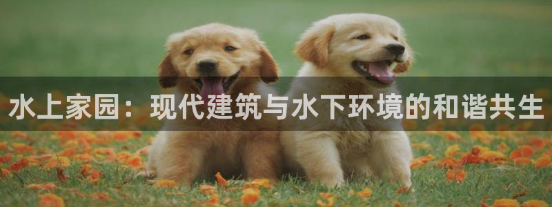 意昂3娱乐首页官网下载：水上家园：现代建筑与水下环境的和谐共生