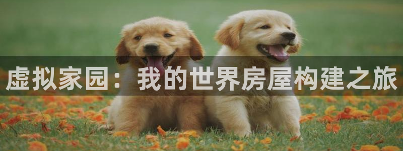 意昂3娱乐网站：虚拟家园：我的世界房屋构建之旅