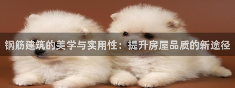 意昂体育3平台是正规平台吗：钢筋建筑的美学与实用性：提升房屋品质的新途径