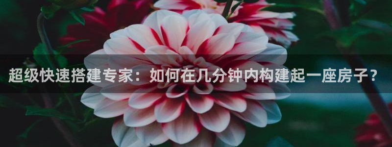意昂体育3平台：超级快速搭建专家：如何在几分钟内构建起一座房子？