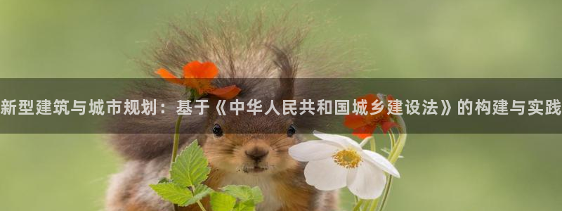 海南意昂体育3：新型建筑与城市规划：基于《中华人民共和国城乡建设法》的构建与实践