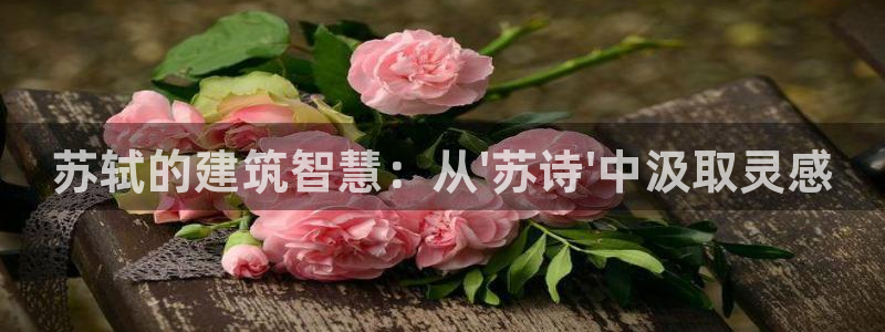 海南意昂体育3：苏轼的建筑智慧：从\'苏诗\'中汲取灵感