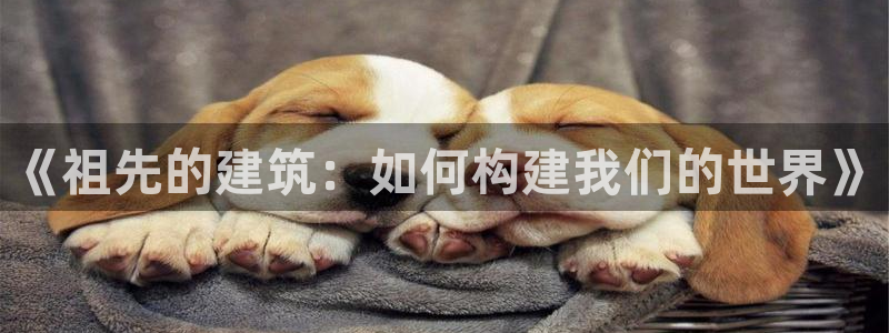 海南意昂体育3：《祖先的建筑：如何构建我们的世界》