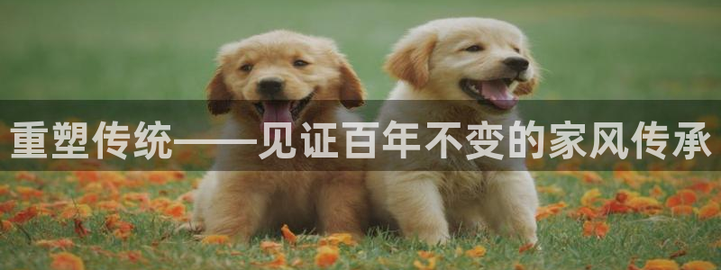 意昂体育3招商电话是多少：重塑传统——见证百年不变的家风传承