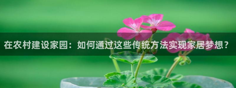 意昂体育3注册：在农村建设家园：如何通过这些传统方法实现家居梦想？