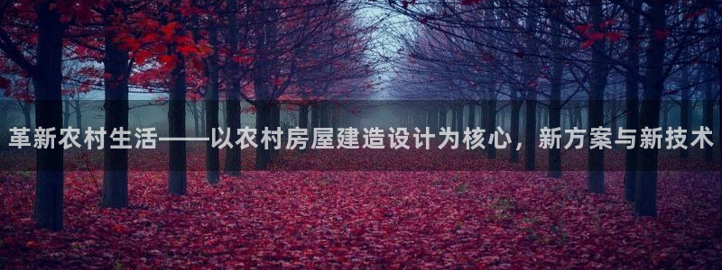 意昂体育3平台注册流程图：革新农村生活——以农村房屋建造设计为核心，新方案与新技术