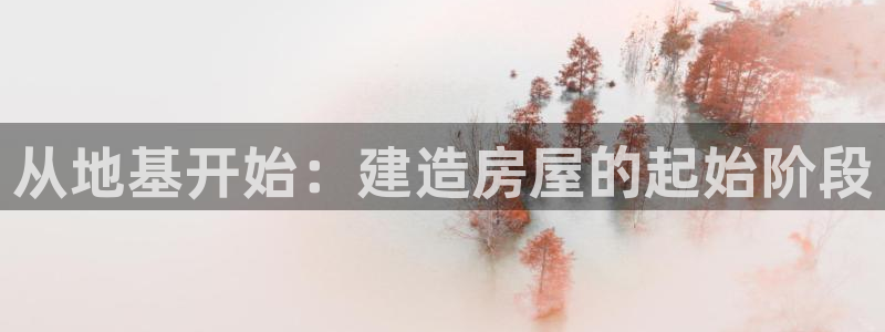 意昂体育3平台注册流程图：从地基开始：建造房屋的起始阶段