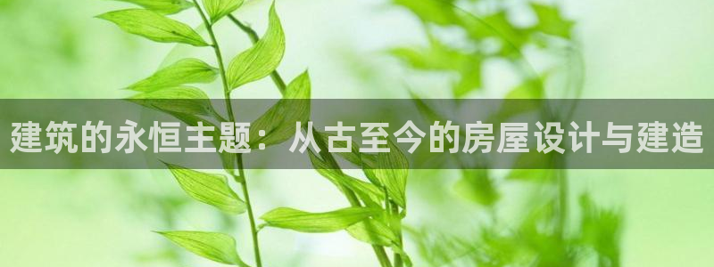 意昂体育3招商电话地址：建筑的永恒主题：从古至今的房屋设计与建造