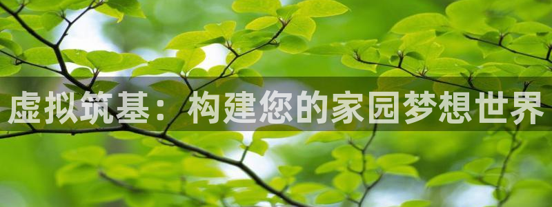 意昂体育3平台是正规平台吗：虚拟筑基：构建您的家园梦想世界