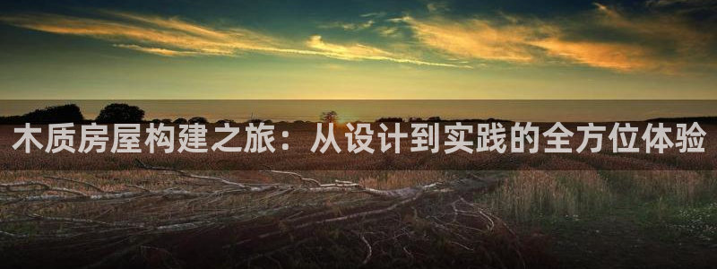 海南意昂体育3发展怎么样：木质房屋构建之旅：从设计到实践的全方位体验