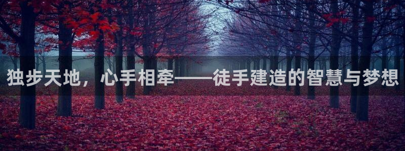 意昂体育3平台假的吗是真的吗：独步天地，心手相牵——徒手建造的智慧与梦想