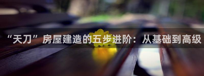 意昂3官网：“天刀”房屋建造的五步进阶：从基础到高级