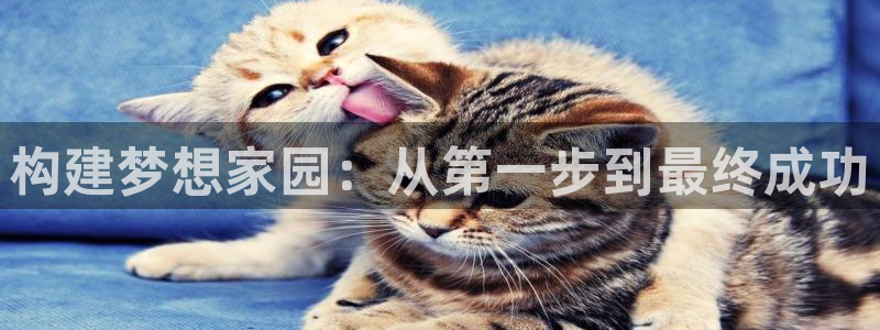 意昂3集团logo：构建梦想家园：从第一步到最终成功