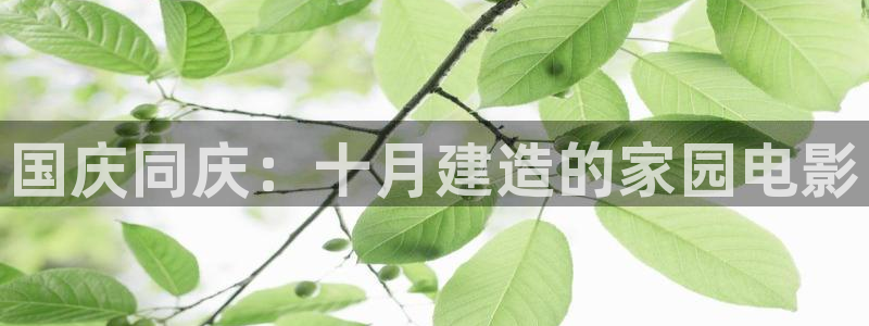 意昂3五金厂：国庆同庆：十月建造的家园电影