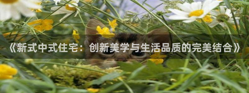 意昂体育3招商：《新式中式住宅：创新美学与生活品质的完美结合》