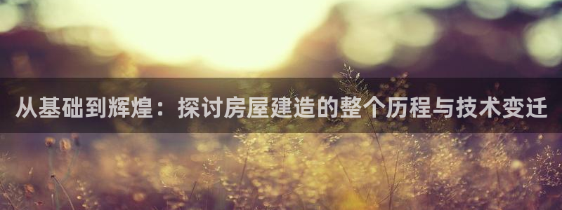 意昂3娱乐首页网站大全：从基础到辉煌：探讨房屋建造的整个历程与技术变迁